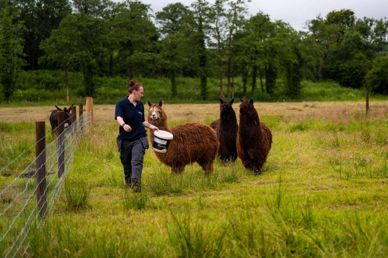 Radisson Blu Hotel And Spa, Limerick Luaran gambar